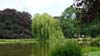 Maschpark 01
