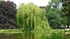 Maschpark 02